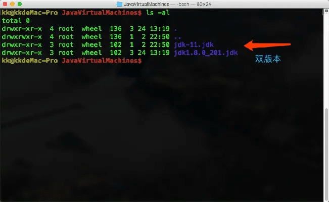 JDK官方文档下载与丛林法则在Mac上的免激活码体验，功能差异、安装注意事项与优化体验评测