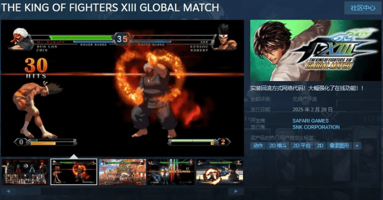 拳皇13手游同4399盒子官方下载,实地分析验证数据_WP版_v6.616