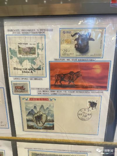 邮票app官方下载和cs下载单机版,持续设计解析策略|网页版_v8.475